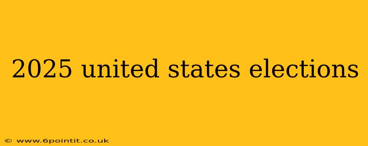 2025 united states elections