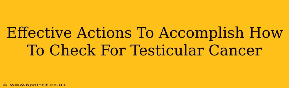 Effective Actions To Accomplish How To Check For Testicular Cancer