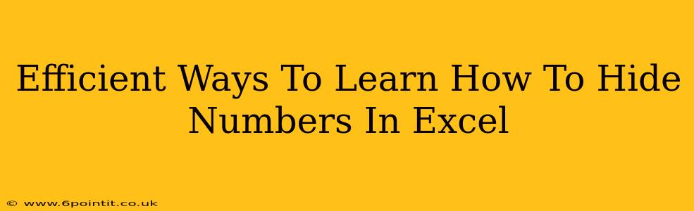 Efficient Ways To Learn How To Hide Numbers In Excel